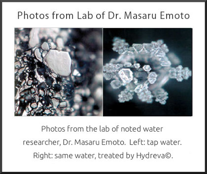 dr emoto water crystal photos